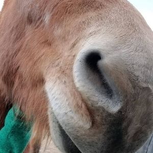 Meet your Posher, Kellie